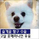 원당동물병원 - 고양시 덕양구 마상로126번길 97 | 원당동물병원