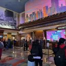 라스베가스게임장 이미지