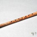 골적 악기 부활기——고고학 연구 8천년 전의 음악 피리 소리를 듣다 이미지