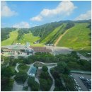 벨스 | 홍천 비발디파크 소노벨스위트 객실 후기. 실내 놀이시설 앤트월드까지 즐기기.