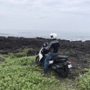 플라이언 이미지