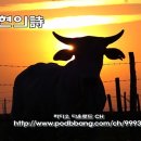 더 씨크릿 이미지