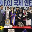 로티플