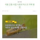 창업아이템 식용곤충사업시장과 리스크 극복방안 이미지