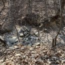 성균관숲유치원 이미지