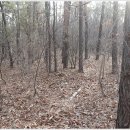 동천2리 마을회관 이미지