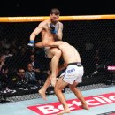 델리카우 이미지