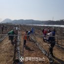 청통면-호당1리-1