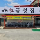 금성집
