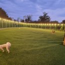 대박놀개 이미지