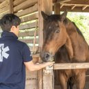 루키목장 이미지