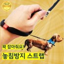 오느렌