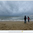 더 베이 이미지