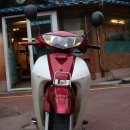 에이스팜 이미지