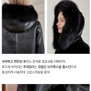폭스스킨 이미지