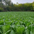 산이농원 이미지