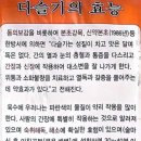 다슬기의 효능 이미지