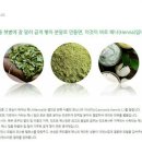 헤나킹 네이버블로그