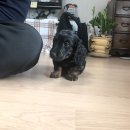 하우스인어스 이미지