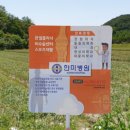 금마늘마을 이미지