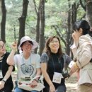 여행로드㈜ 이미지