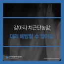 우리동물메디컬센터 이미지