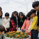 반남초등학교 이미지