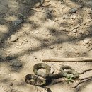 청파농장 이미지