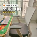 편한 사무실의자 튼튼한 보나체 제나 책상의자 추천