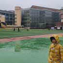 아라초등학교 병설유치원 이미지