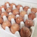 농업회사법인 대관령양떼목장 주식회사 | 유정란, 난각1번, 무항생제달걀, 자연방사달걀, 농업회사법인 양계장청년 주식회사