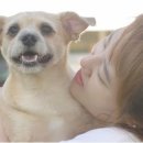 하은농장2 이미지