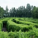 미로파크 이미지