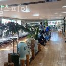 대동헬스피아 이미지