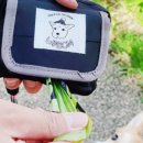 봄강아지 이미지