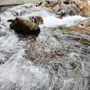 대원사계곡펜션 | 펜션 사장님의 원픽! 산청 대원사 계곡