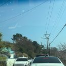 슬도 | 울산 슬도 유채꽃 방문 후기 및 개화 상황 🌼