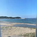 황금 메밀꽃 막국수