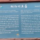 유채꽃길에머문시간
