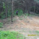 세류로30번길 이미지