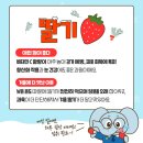 봄여름과일겨울