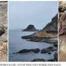 공룡컴퓨터 이미지
