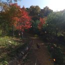 에센셜 | 깨끗한 정수 가습기 LG전자 퓨리케어 하이드로에센셜 후기