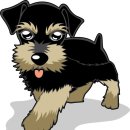 아이엠 동물병원 이미지