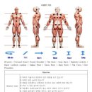 헬스엔젤스필라테스 이미지