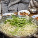 청해복어 티스토리