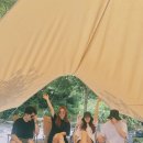 철이네캠핑장 이미지