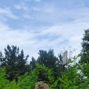 솔빛길유치원 이미지