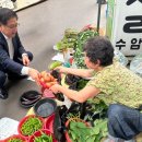 동서시장 스포츠한국