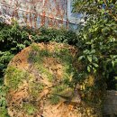 우리꽃식물원 | 화성 우리꽃식물원 지금 가도 될까? 3월 방문 후기 + 꿀팁